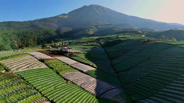 Indonesia farmer plantations on foothill of mount Sumbing, aerial view