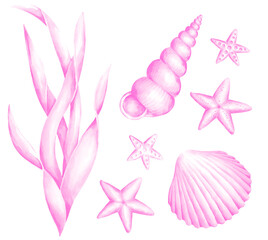 Set of shells and starfish monochrome