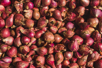 A pile of shallots on a bamboo tray is being dried using sunlight to preserve them, background