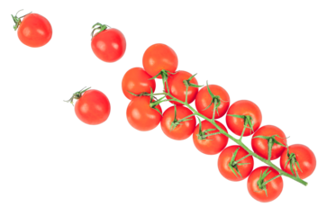 Branch of fresh cherry tomatoes isolated on white