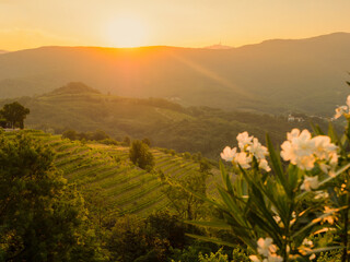 Fototapety na wymiar - Fototapeta24.pl