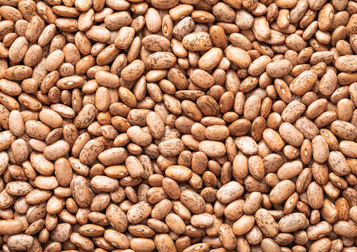 Variegated organic dry raw bean seeds textured background.Macro.
