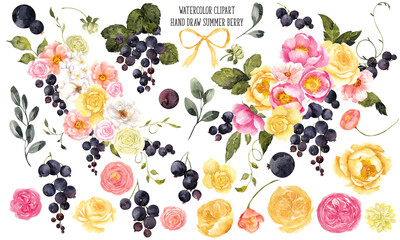 Watercolor hand draw bouquet with fresh summer currant, garden flowers, floral bouquet, isolated on transparent background, PNG files
