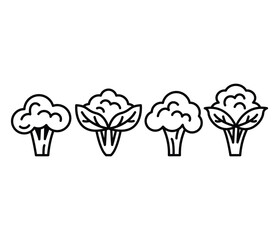 cauliflower vegetable fruit icons vector design symbol simple line black white colors illustration sets