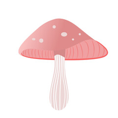 mushroom pink isolated on white background  cartoon  illustration 