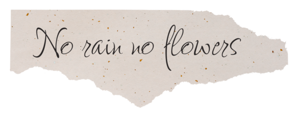 Inspirational png quote, DIY torn paper craft, no rain no flowers, transparent background
