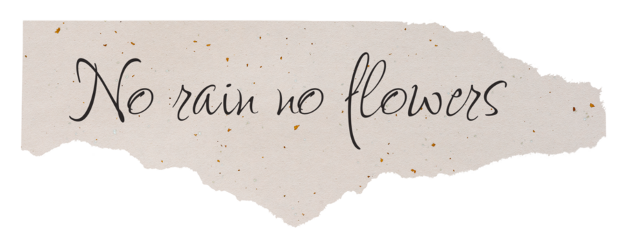 Inspirational png quote, DIY torn paper craft, no rain no flowers, transparent background