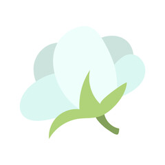A delicate cotton flower that demonstrates the natural beauty and importance of this plant in the production of environmentally friendly textiles and materials. Isolated fluffy flower on a green stem.