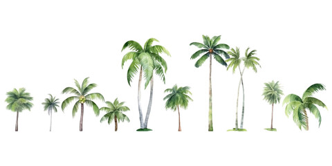 Obraz premium Set of watercolor coconut trees on white background