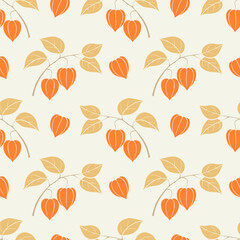 Physalis autumn pattern, decorative branch of dried flowers on beige pastel background.