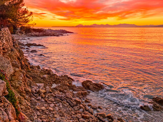 Landscape in the Cap d'Antibes during a sunset, South of France