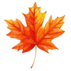 Obraz premium Vibrant orange autumn maple leaf isolated ontransparent background. Perfect for fall-themed designs, nature concepts, and seasonal decorations.