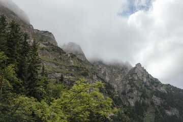 A dramatic view of the Tatra Mountains with misty clouds hanging low over the peaks and dense evergreen forests in the foreground, creating a serene and mysterious atmosphere in Zakopane, Poland.