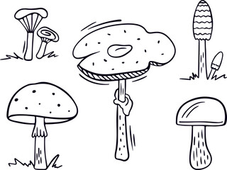 Mushroom vector fall clip art set in doodle style. Autumn mood isolated collection, print, poster, design element