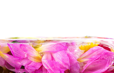 Multi-colored frozen flowers and petals on a white background.