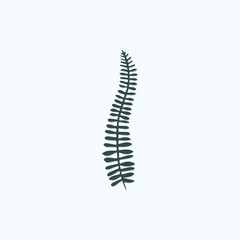 Tropical leave vector image.shape and logo vector