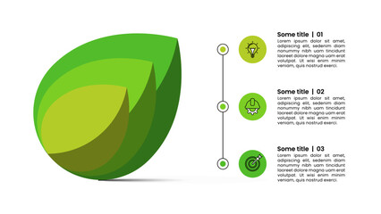Infographic template. 3 plant leaves with icons