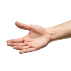 Female hand model  closeup isolated on transparency background