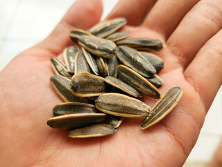 Photo of Kuaci or Sunflower Seeds in the palm of the hand. A typical Indonesian snack made from dried and salted sunflower seeds.