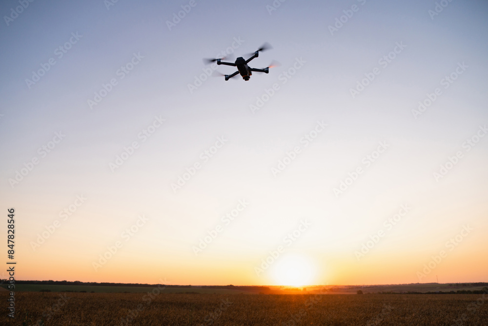 Aufkleber drone flies over a wheat field. smart farming and precision agriculture..