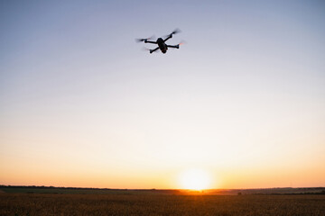 Drone flies over a wheat field. Smart farming and precision agriculture..