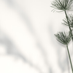 Fresh Papyrus plant png transparent