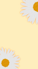 yellow background with chamomiles flower frame and copy space