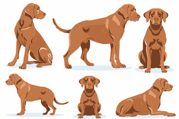 Cartoon dog. Active pet animal, cute puppy and dogs in different poses, running, jumping and sleeping character vector illustration set