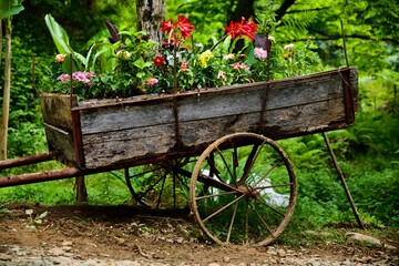 old cart with flowers