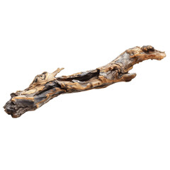 Fototapeta premium Weathered Driftwood Branch Isolated on White Background