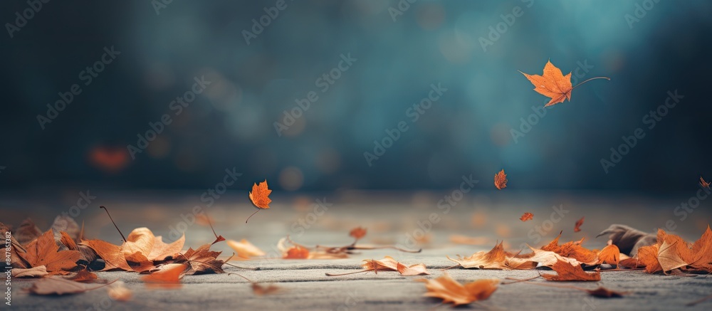 Canvas Prints there are many leaves falling on the floor in the autumn on a blurred background. creative banner. c