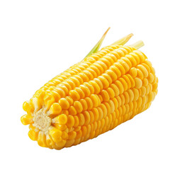 Corn Isolated on a Transparent Background