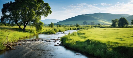 Obraz premium river in countryside. Creative banner. Copyspace image