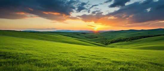 beautiful green grass on the meadow and sunset cloudy sky. Creative banner. Copyspace image