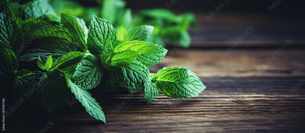 Poster mint on a dark wood background toning selective focus to the middle leaves of mint. creative banner.