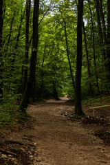 Panoramic view from Lake Bled, beauty heritage in Slovenia. Island with church and castle in the background create a dream setting. View from Ojstrica and Mala Osojnica with the heart-shaped bench.