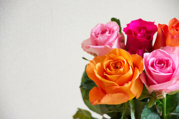カラフルな薔薇