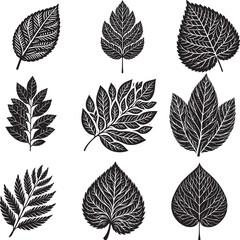  Black Leaf Inked Silhouette