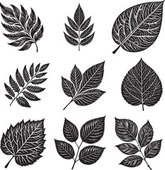  Black Leaf Inked Silhouette