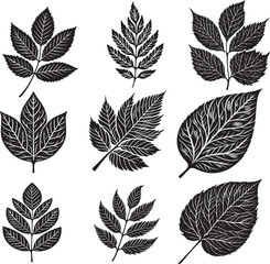 Obraz premium Black Leaf Inked Silhouette