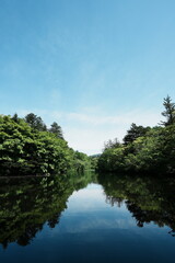 【縦写真】軽井沢の雲場池