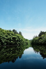 【縦写真】軽井沢の雲場池