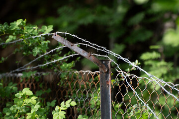 barbed wire fence with grass