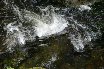 Fototapeta premium water flowing over rocks