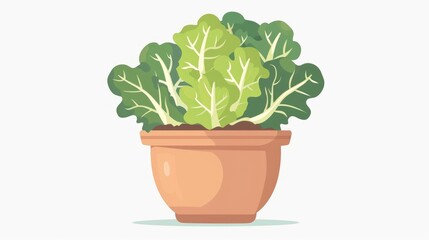 Fototapeta premium Isolated white background web design of cabbage ground pot icon