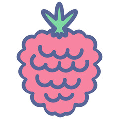 Raspberry Icon