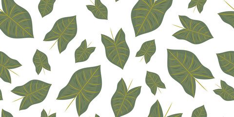 Fototapeta premium Philodendron leaf seamless pattern. Arrowhead plant, botanical modern background. Vector isolated on white.