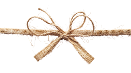 string or twine tied in a bow isolated on transparent background