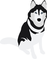Husky Dog Minimal Flat Vector Illustration