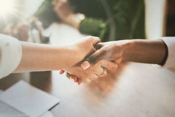 Fototapeta premium Businesswomen shaking hands making a business deal
